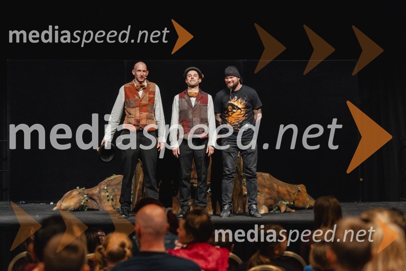 Otroški festival gledaliških sanj, Pionirski dom