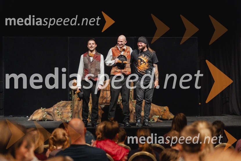 Otroški festival gledaliških sanj, Pionirski dom