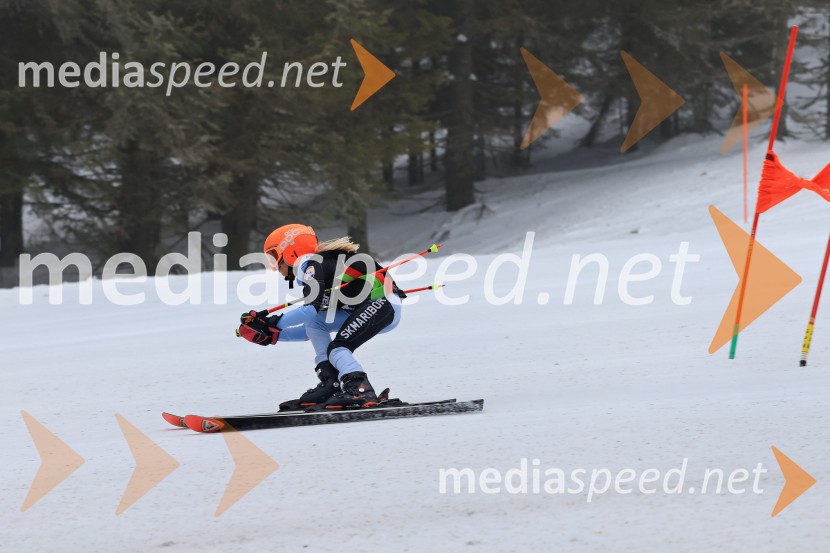 SMUČANJE - SUPER G, U10 in U12, Pokal vzhodne regije, Rogla