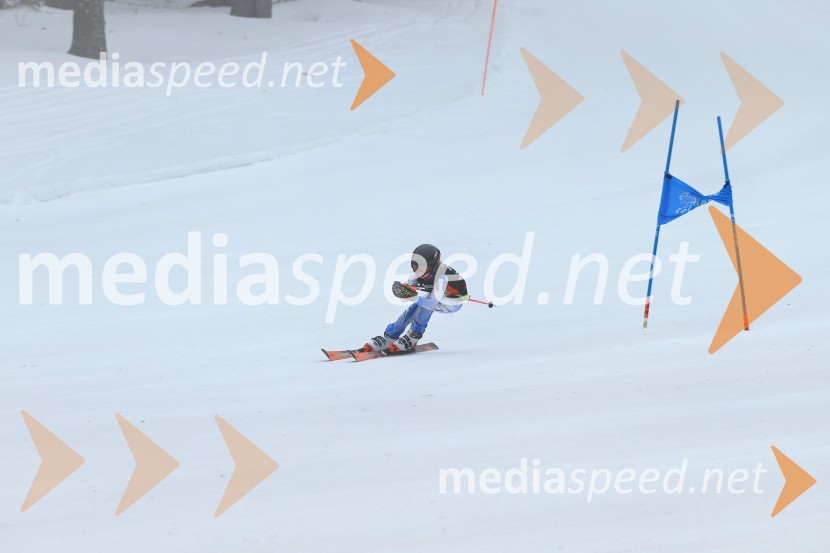 SMUČANJE - SUPER G, U10 in U12, Pokal vzhodne regije, Rogla