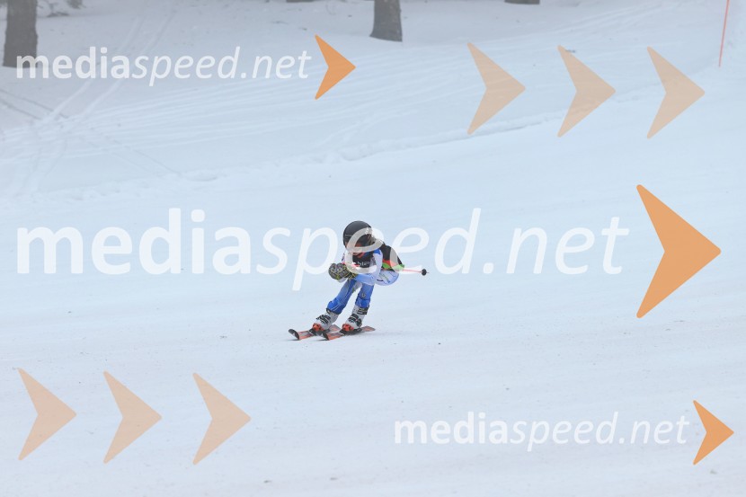 SMUČANJE - SUPER G, U10 in U12, Pokal vzhodne regije, Rogla