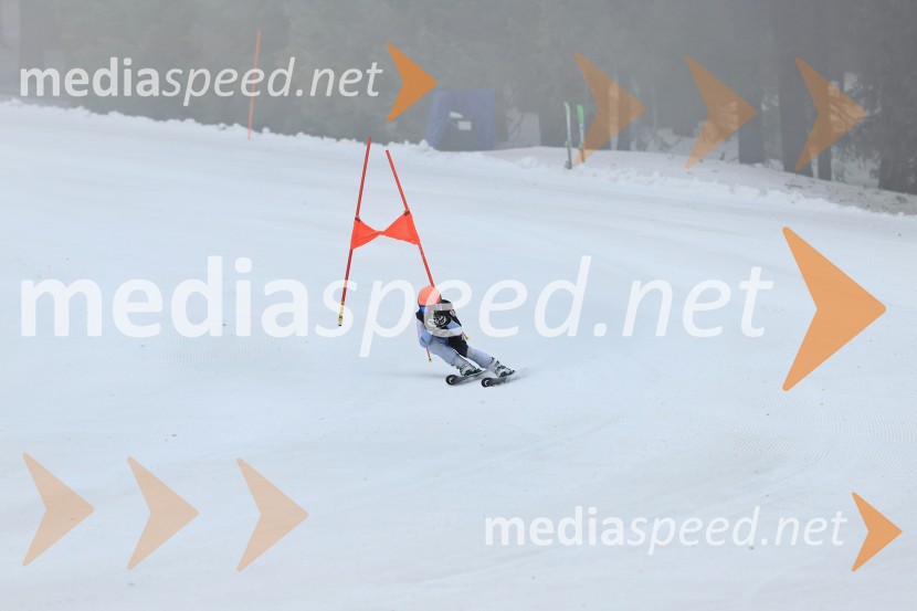 SMUČANJE - SUPER G, U10 in U12, Pokal vzhodne regije, Rogla