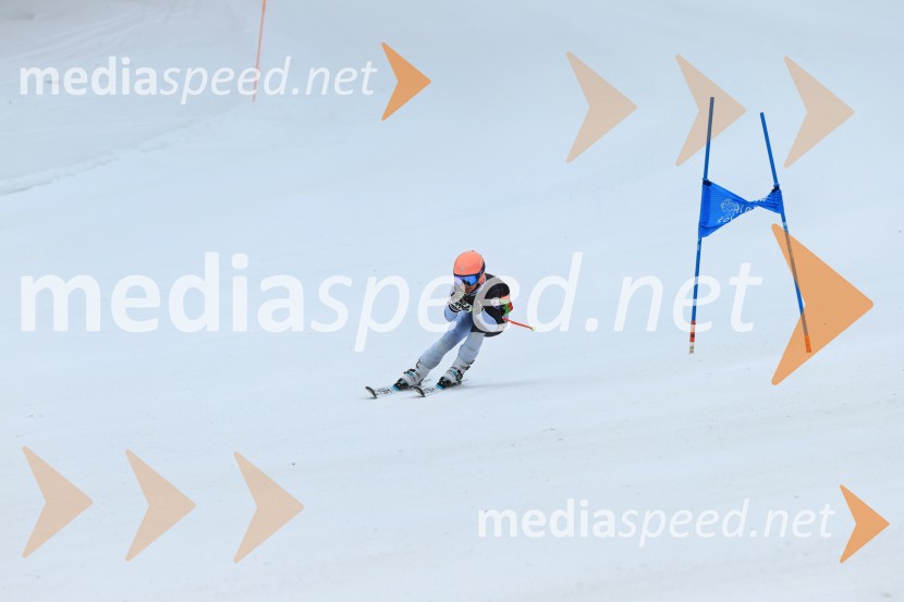 SMUČANJE - SUPER G, U10 in U12, Pokal vzhodne regije, Rogla