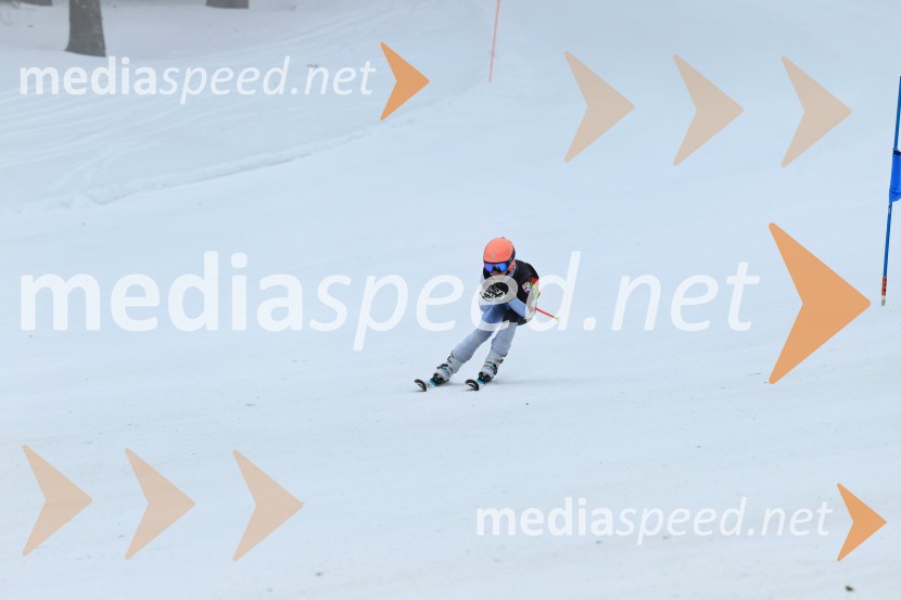 SMUČANJE - SUPER G, U10 in U12, Pokal vzhodne regije, Rogla