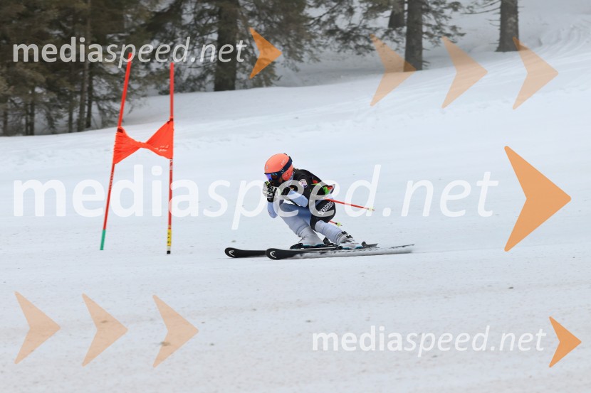 SMUČANJE - SUPER G, U10 in U12, Pokal vzhodne regije, Rogla