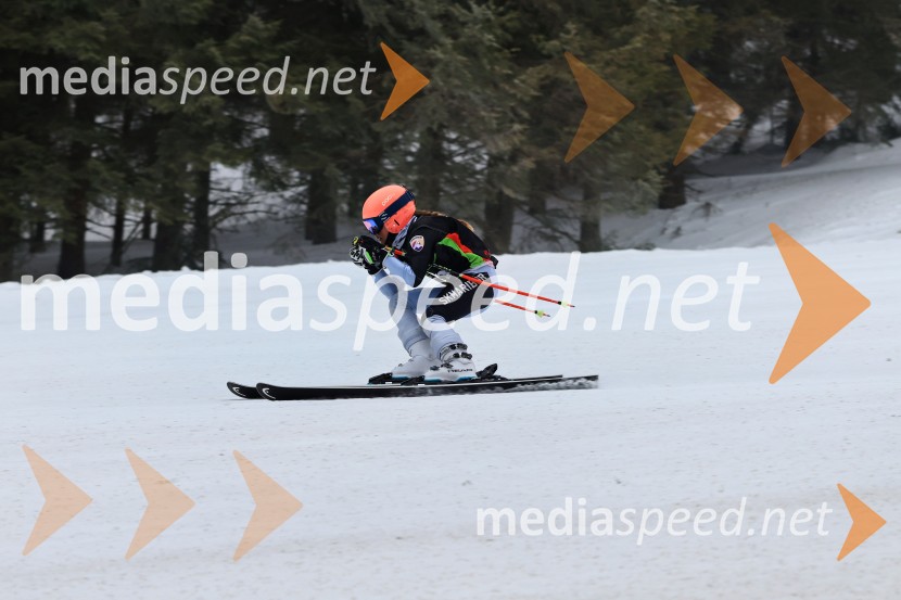 SMUČANJE - SUPER G, U10 in U12, Pokal vzhodne regije, Rogla