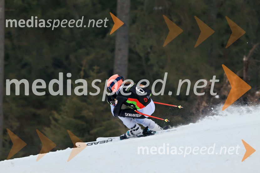 SMUČANJE - SUPER G, U10 in U12, Pokal vzhodne regije, Rogla