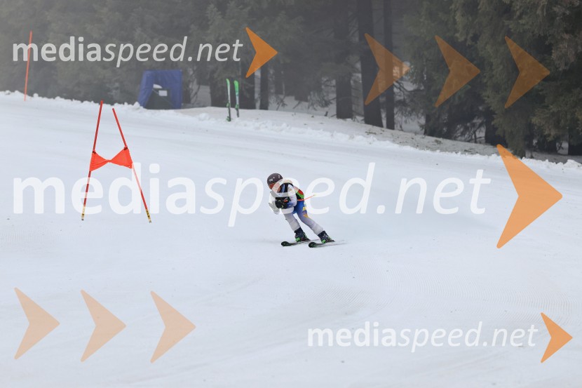 SMUČANJE - SUPER G, U10 in U12, Pokal vzhodne regije, Rogla
