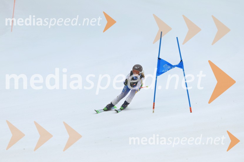 SMUČANJE - SUPER G, U10 in U12, Pokal vzhodne regije, Rogla