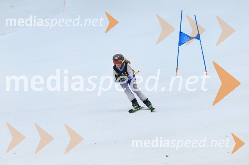 SMUČANJE - SUPER G, U10 in U12, Pokal vzhodne regije, Rogla