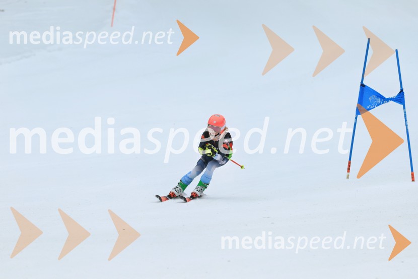 SMUČANJE - SUPER G, U10 in U12, Pokal vzhodne regije, Rogla