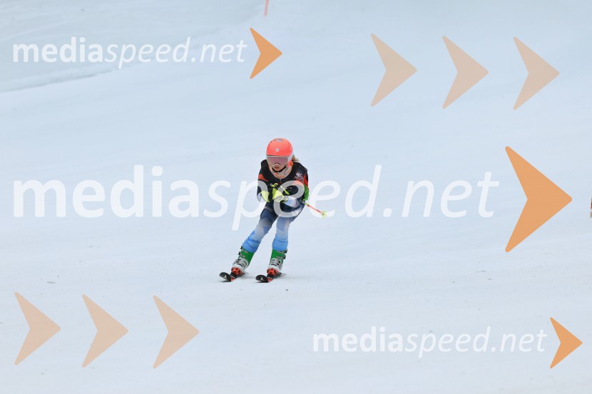 SMUČANJE - SUPER G, U10 in U12, Pokal vzhodne regije, Rogla