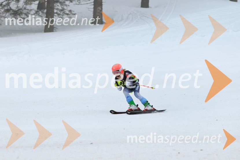 SMUČANJE - SUPER G, U10 in U12, Pokal vzhodne regije, Rogla