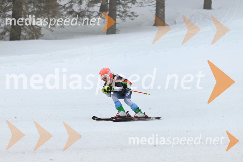 SMUČANJE - SUPER G, U10 in U12, Pokal vzhodne regije, Rogla