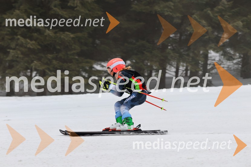 SMUČANJE - SUPER G, U10 in U12, Pokal vzhodne regije, Rogla