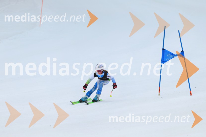 SMUČANJE - SUPER G, U10 in U12, Pokal vzhodne regije, Rogla