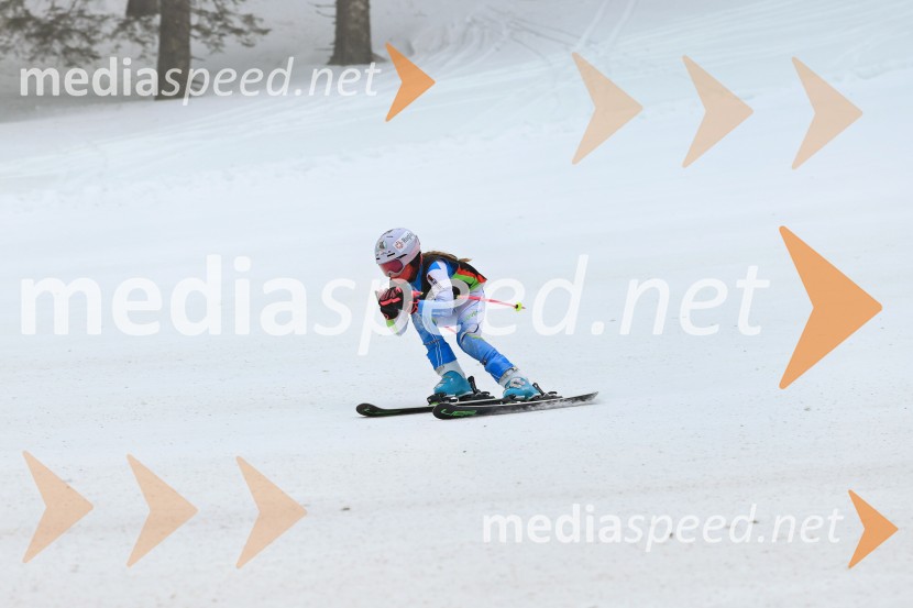 SMUČANJE - SUPER G, U10 in U12, Pokal vzhodne regije, Rogla