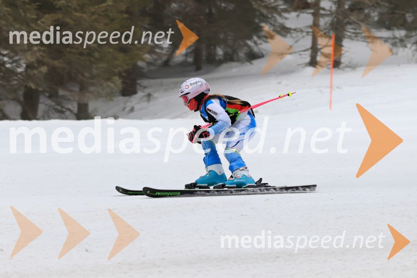 SMUČANJE - SUPER G, U10 in U12, Pokal vzhodne regije, Rogla