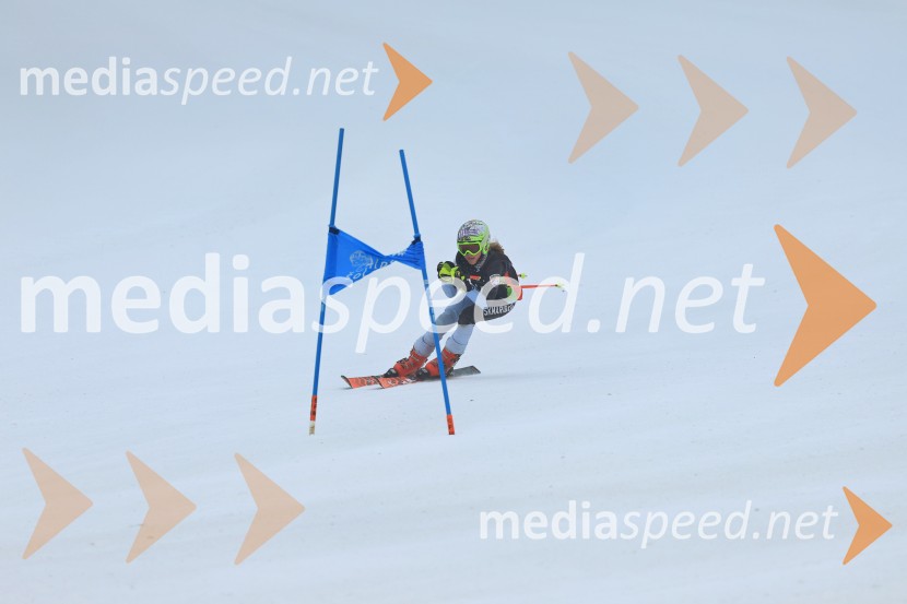 SMUČANJE - SUPER G, U10 in U12, Pokal vzhodne regije, Rogla