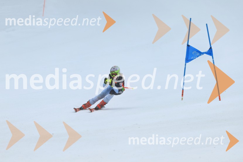 SMUČANJE - SUPER G, U10 in U12, Pokal vzhodne regije, Rogla