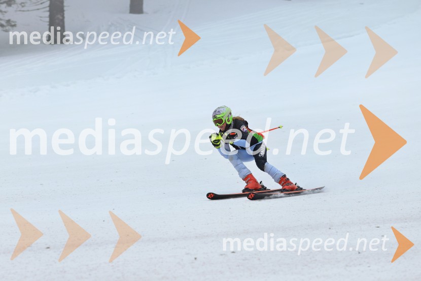 SMUČANJE - SUPER G, U10 in U12, Pokal vzhodne regije, Rogla