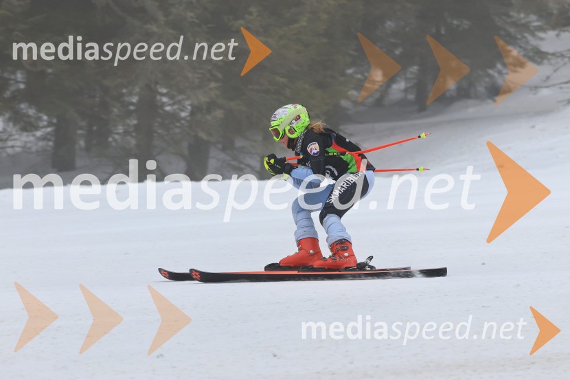 SMUČANJE - SUPER G, U10 in U12, Pokal vzhodne regije, Rogla