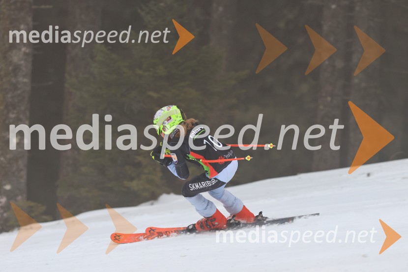 SMUČANJE - SUPER G, U10 in U12, Pokal vzhodne regije, Rogla