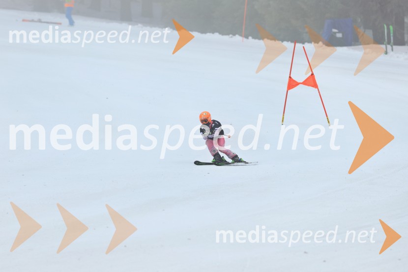 SMUČANJE - SUPER G, U10 in U12, Pokal vzhodne regije, Rogla