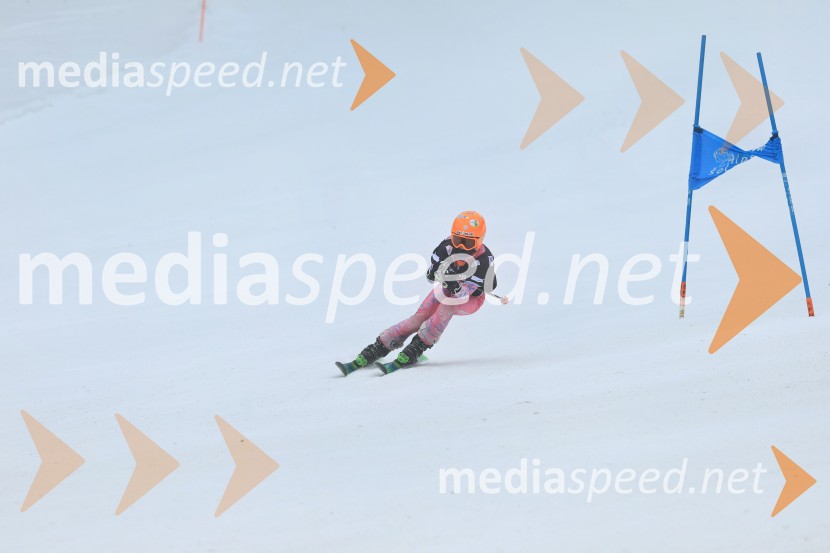 SMUČANJE - SUPER G, U10 in U12, Pokal vzhodne regije, Rogla