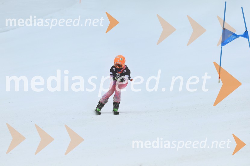 SMUČANJE - SUPER G, U10 in U12, Pokal vzhodne regije, Rogla