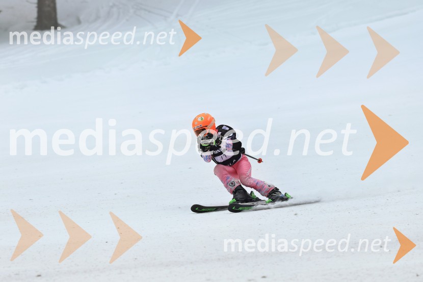 SMUČANJE - SUPER G, U10 in U12, Pokal vzhodne regije, Rogla