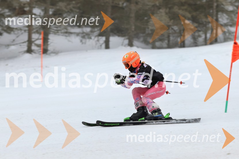 SMUČANJE - SUPER G, U10 in U12, Pokal vzhodne regije, Rogla