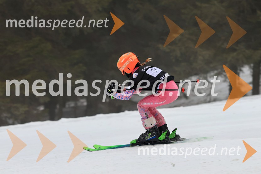 SMUČANJE - SUPER G, U10 in U12, Pokal vzhodne regije, Rogla