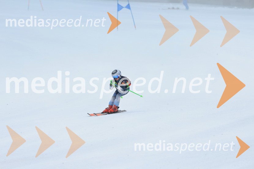 SMUČANJE - SUPER G, U10 in U12, Pokal vzhodne regije, Rogla