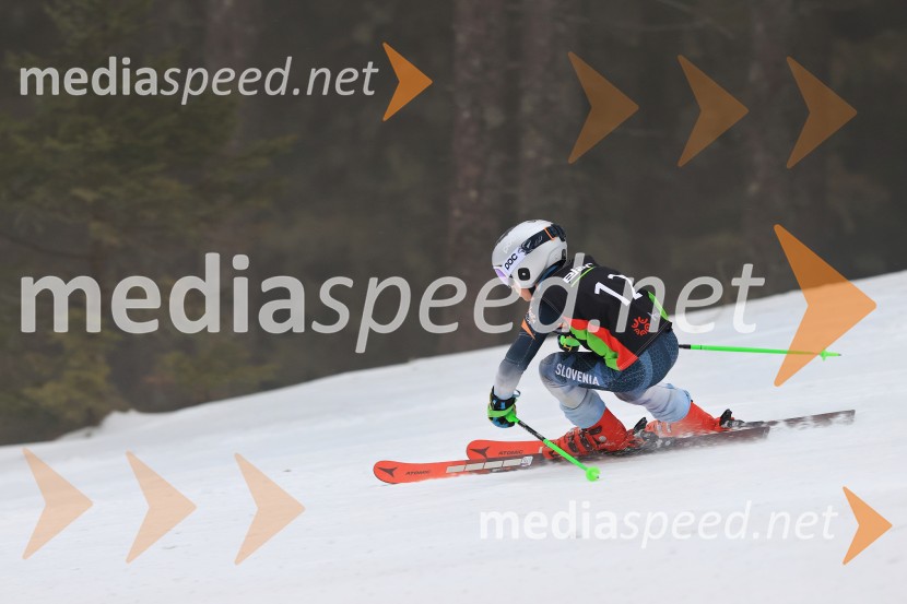 SMUČANJE - SUPER G, U10 in U12, Pokal vzhodne regije, Rogla