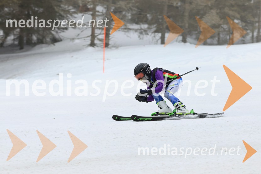 SMUČANJE - SUPER G, U10 in U12, Pokal vzhodne regije, Rogla
