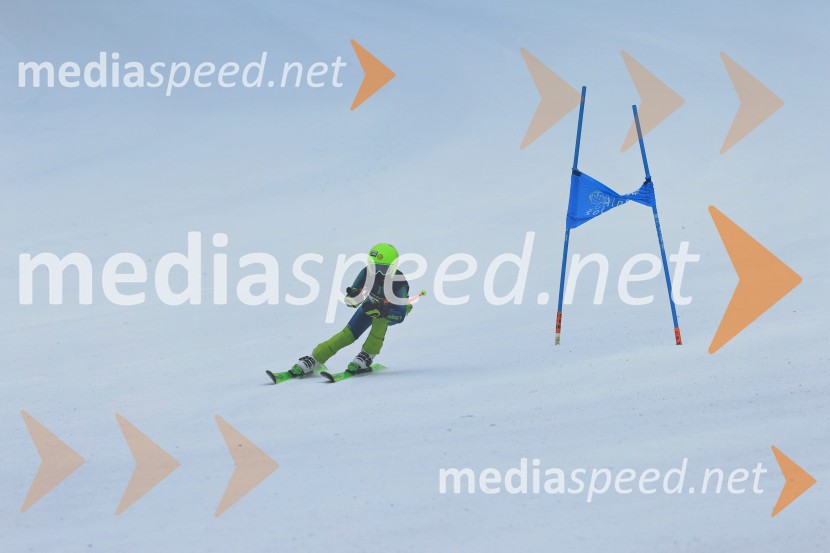 SMUČANJE - SUPER G, U10 in U12, Pokal vzhodne regije, Rogla