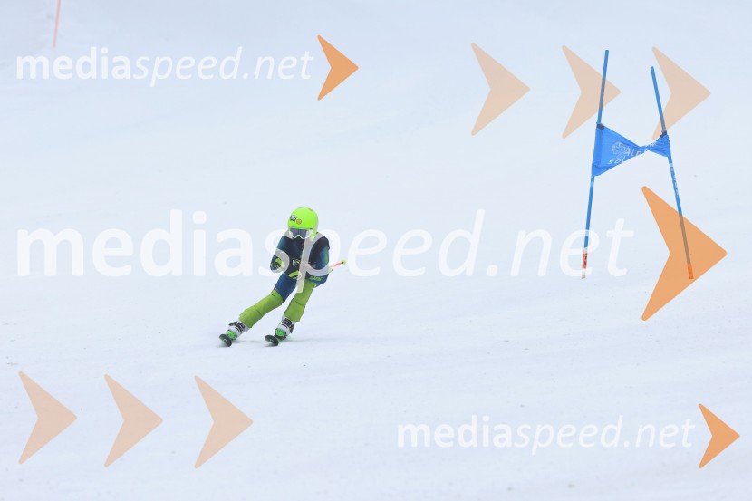 SMUČANJE - SUPER G, U10 in U12, Pokal vzhodne regije, Rogla