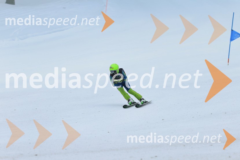 SMUČANJE - SUPER G, U10 in U12, Pokal vzhodne regije, Rogla