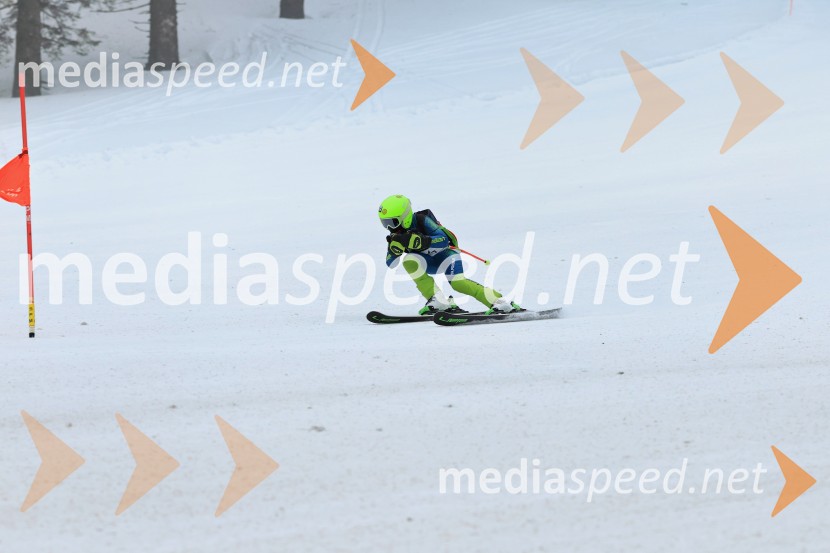 SMUČANJE - SUPER G, U10 in U12, Pokal vzhodne regije, Rogla