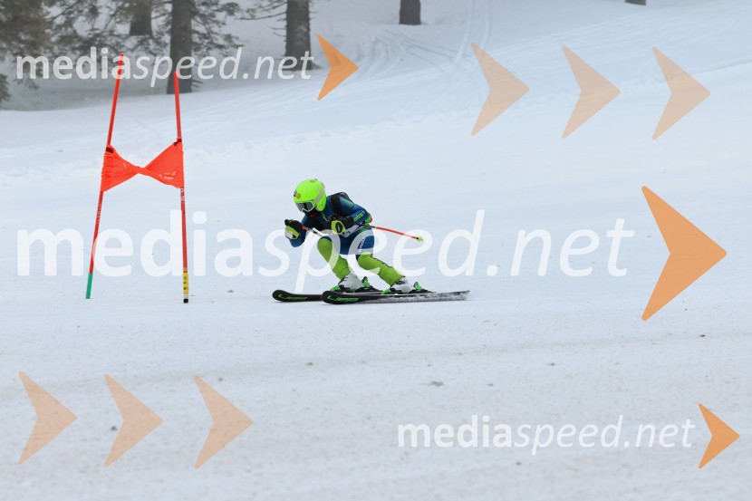 SMUČANJE - SUPER G, U10 in U12, Pokal vzhodne regije, Rogla