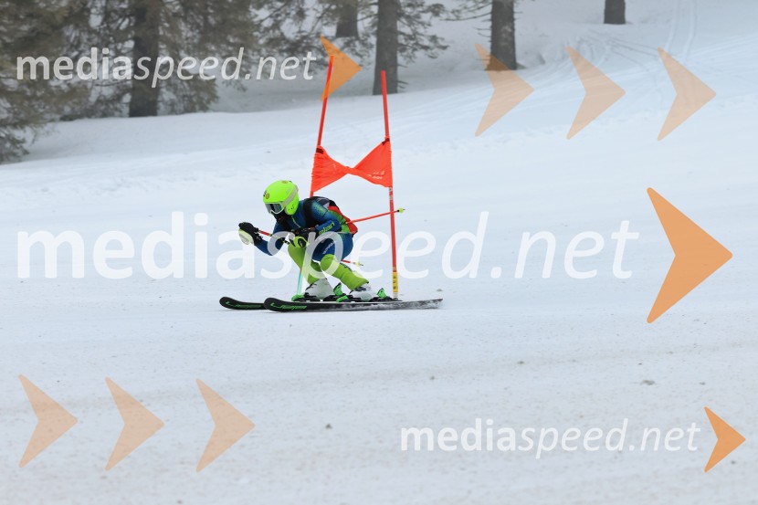 SMUČANJE - SUPER G, U10 in U12, Pokal vzhodne regije, Rogla
