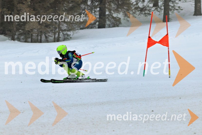 SMUČANJE - SUPER G, U10 in U12, Pokal vzhodne regije, Rogla