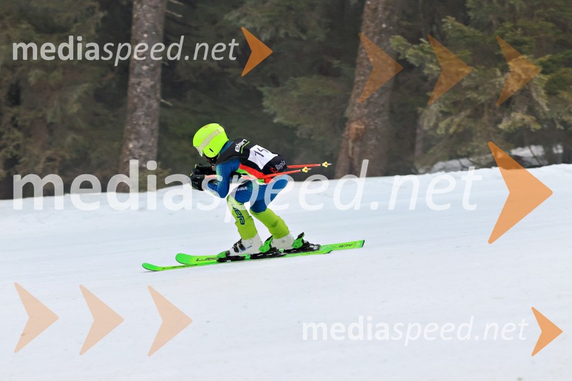 SMUČANJE - SUPER G, U10 in U12, Pokal vzhodne regije, Rogla