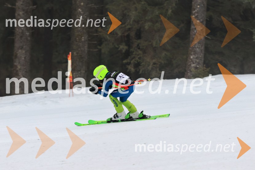 SMUČANJE - SUPER G, U10 in U12, Pokal vzhodne regije, Rogla