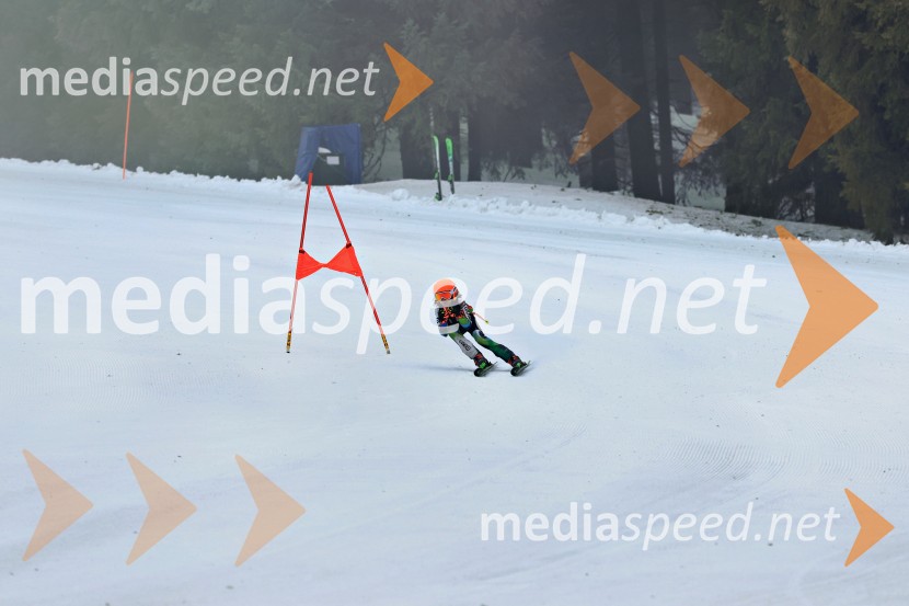 SMUČANJE - SUPER G, U10 in U12, Pokal vzhodne regije, Rogla