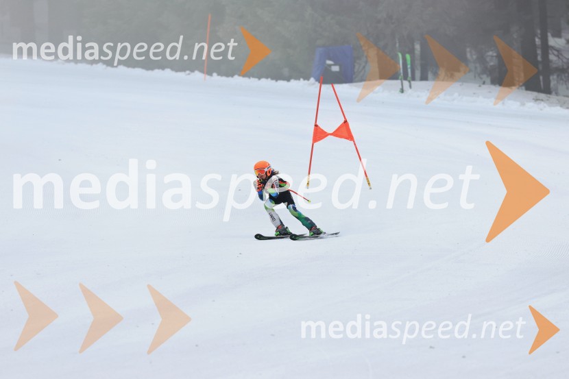 SMUČANJE - SUPER G, U10 in U12, Pokal vzhodne regije, Rogla