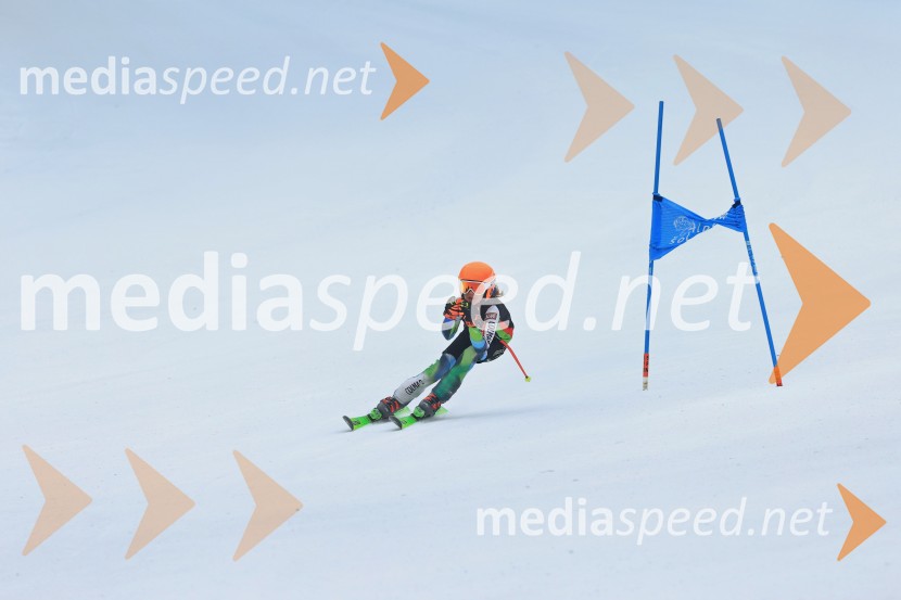 SMUČANJE - SUPER G, U10 in U12, Pokal vzhodne regije, Rogla