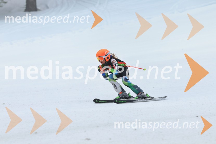 SMUČANJE - SUPER G, U10 in U12, Pokal vzhodne regije, Rogla