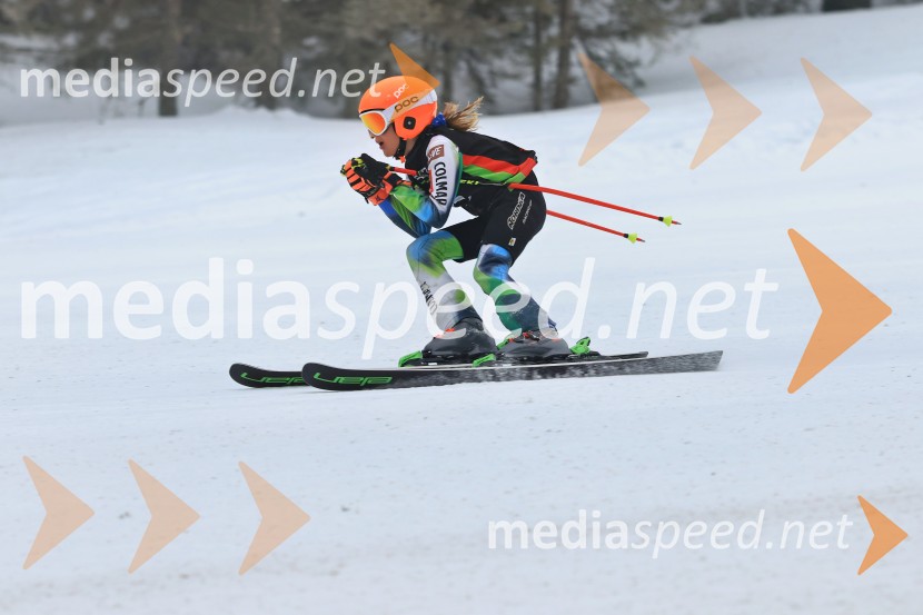SMUČANJE - SUPER G, U10 in U12, Pokal vzhodne regije, Rogla